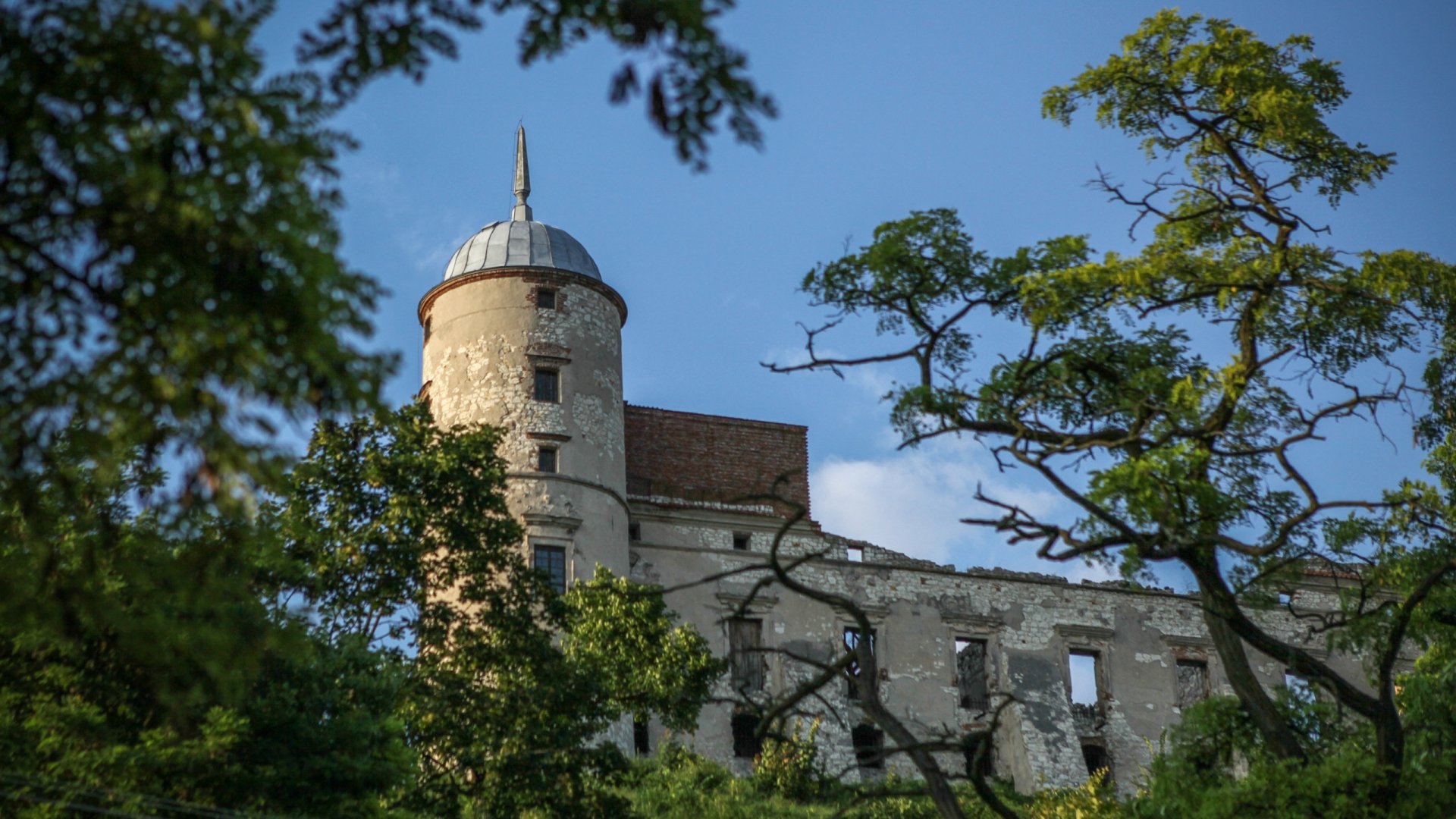 HD desktop wallpaper featuring the historic Janowiec Castle, framed by green trees under a clear blue sky.
