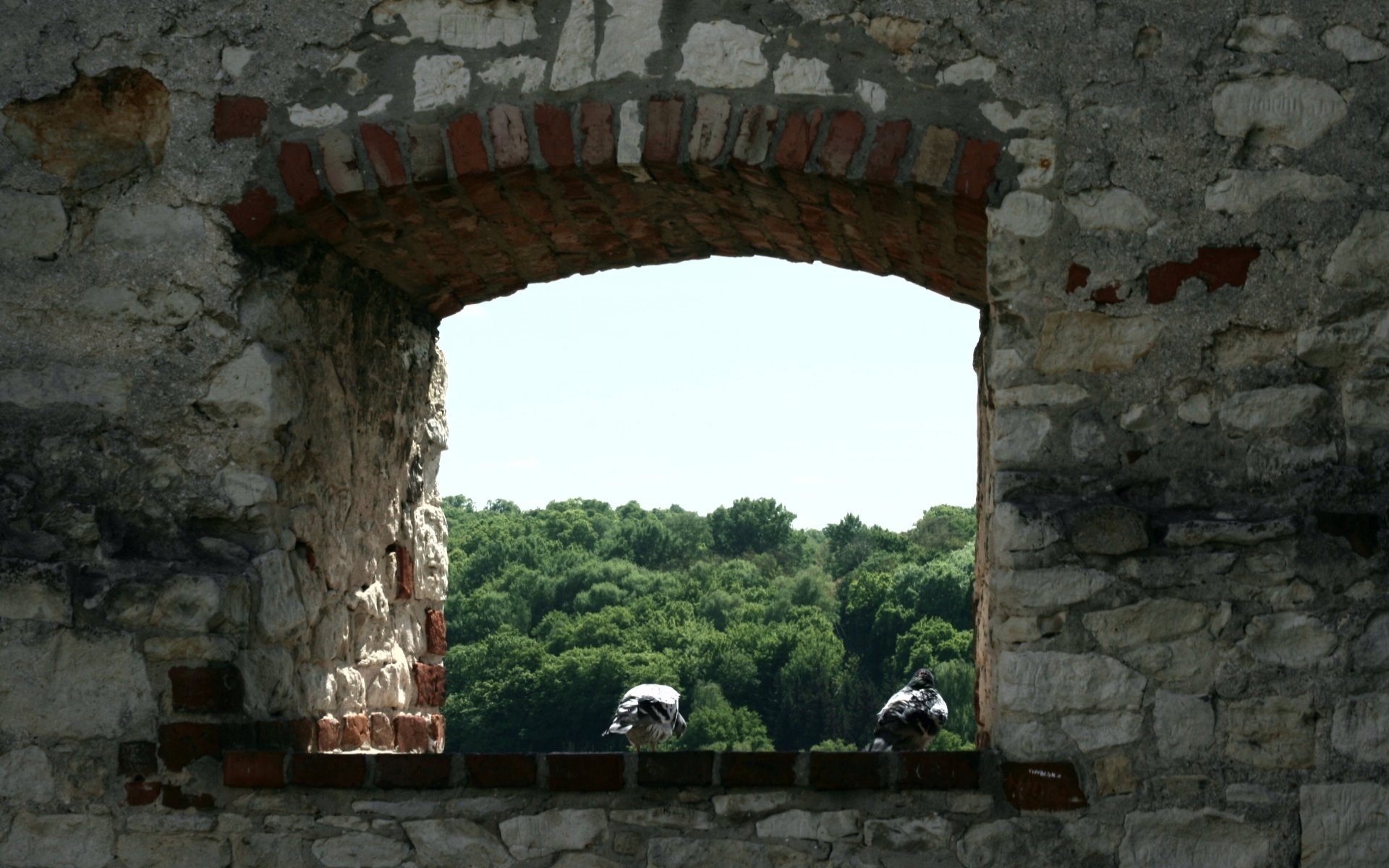 Download Man Made Kazimierz Dolny Castle HD Wallpaper