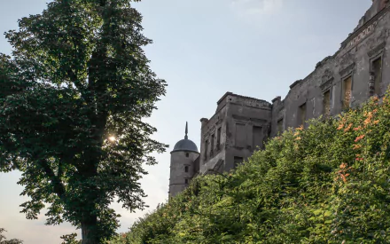 man made Janowiec Castle HD Desktop Wallpaper | Background Image