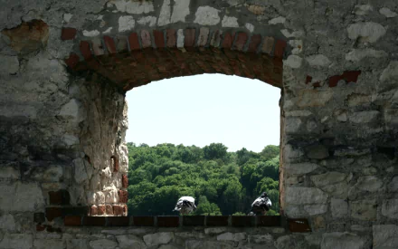 man made Kazimierz Dolny Castle HD Desktop Wallpaper | Background Image