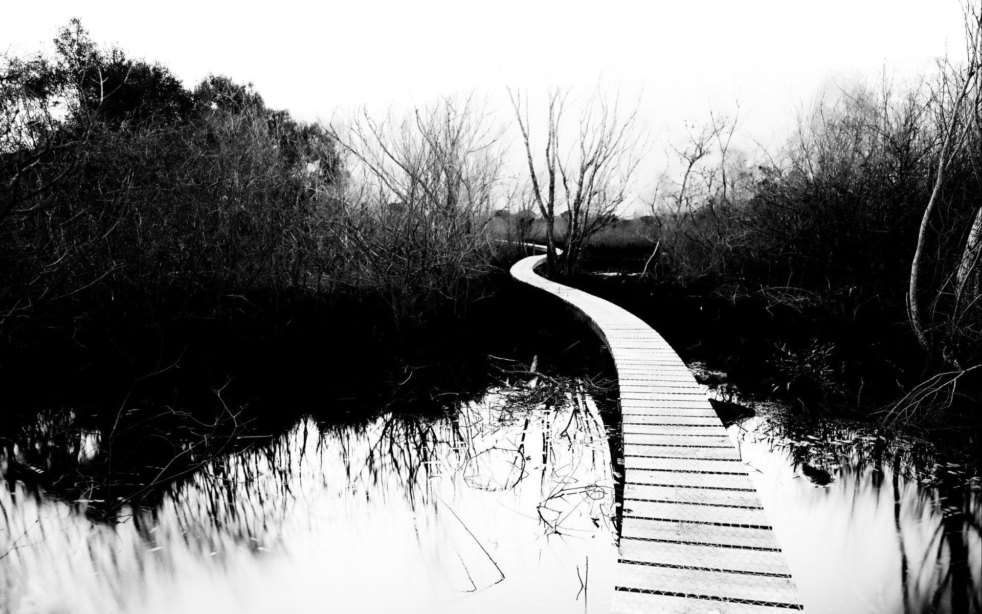 Download Man Made Boardwalk HD Wallpaper