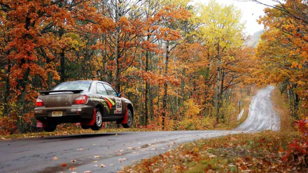 HD PC desktop wallpaper and background showing a Subaru Impreza rally car airborne on a winding country road through a vibrant autumn forest.