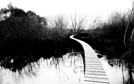 man made boardwalk HD Desktop Wallpaper | Background Image