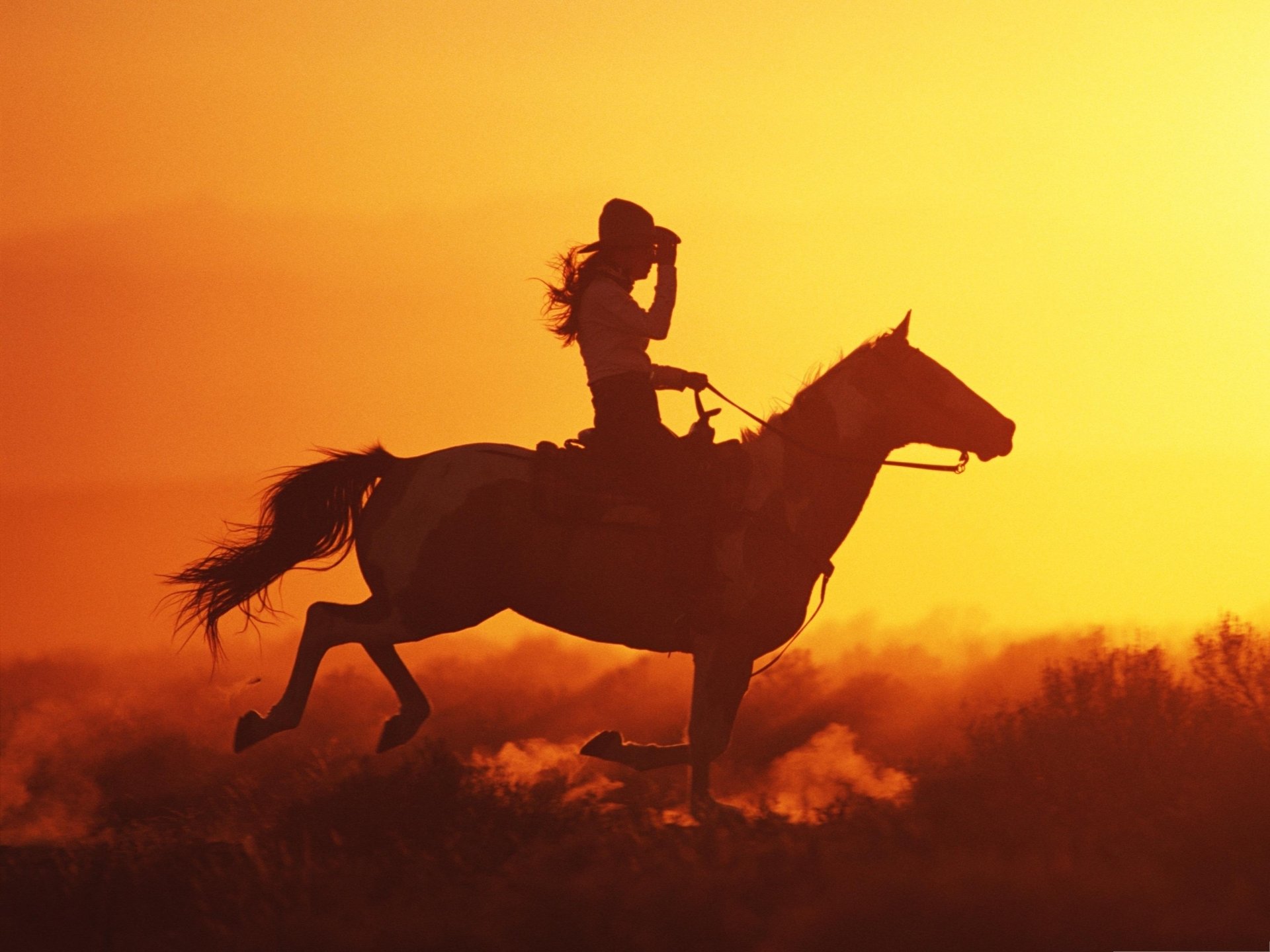 Негритянку конем. Лошади на закате. Скачущий всадник. Всадник на коне. Конь и всадник.