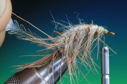 fishing Sports HD Desktop Wallpaper | Background Image