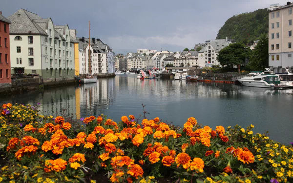 Colorful flowers in the foreground frame a man-made waterfront scene in Ålesund, Norway, with boats and traditional buildings under a cloudy sky, captured in HD.