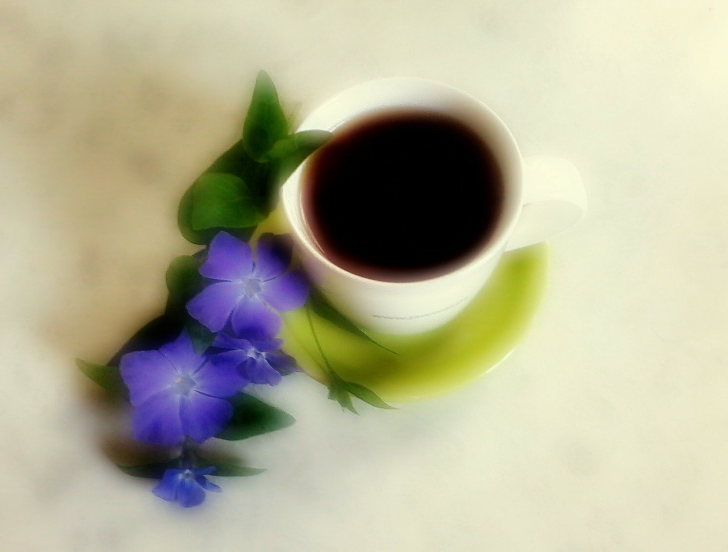 A serene image of a cup of dark tea resting on a green leaf, accompanied by delicate purple flowers, creating a calming backdrop for a desktop wallpaper.