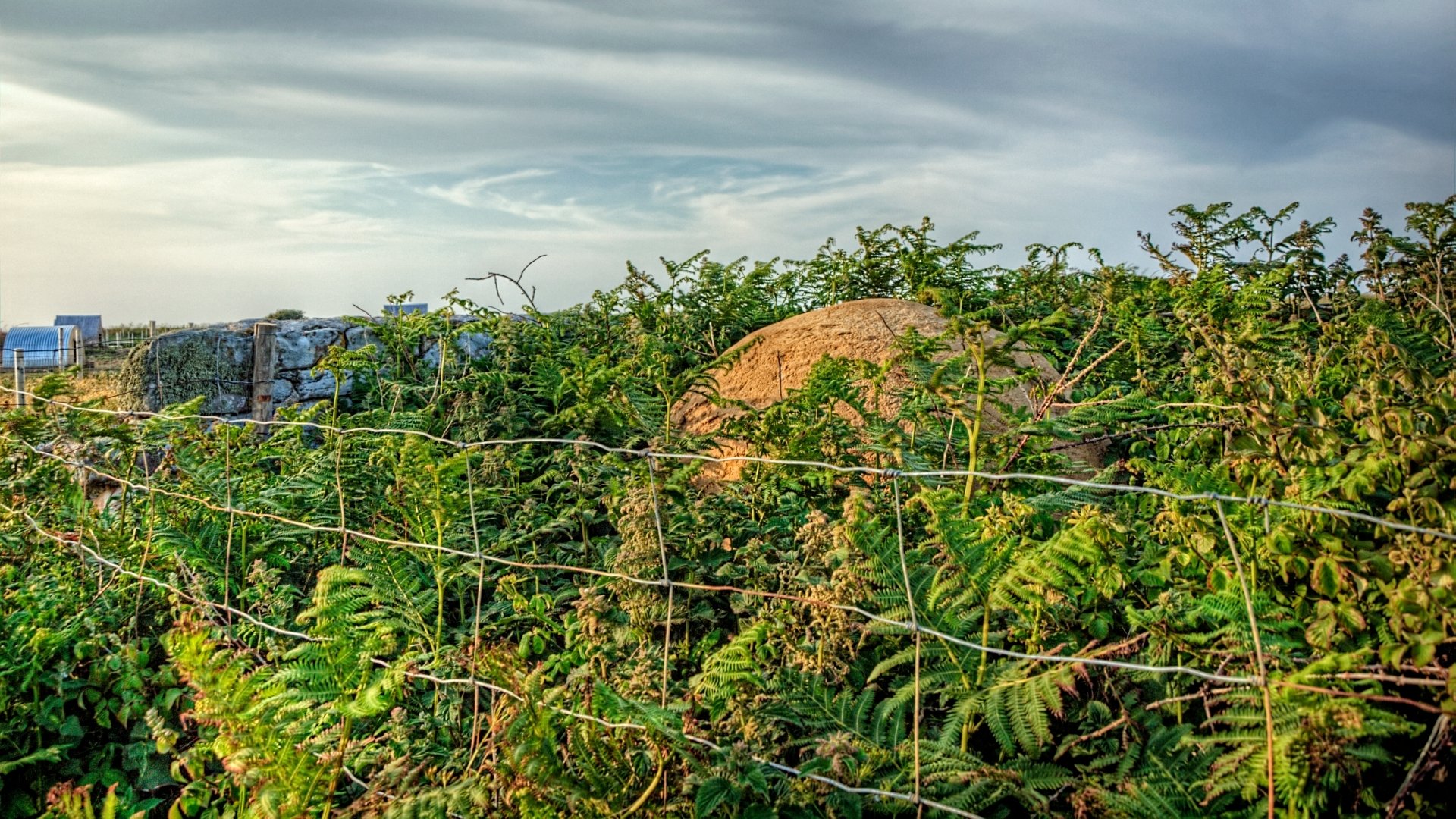 Download Man Made Alderney Stone HD Wallpaper