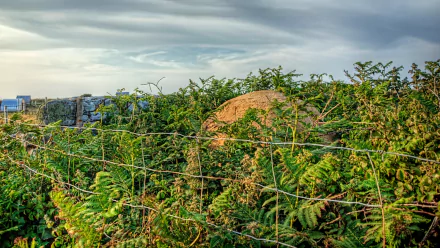  Hiding in the Landscape