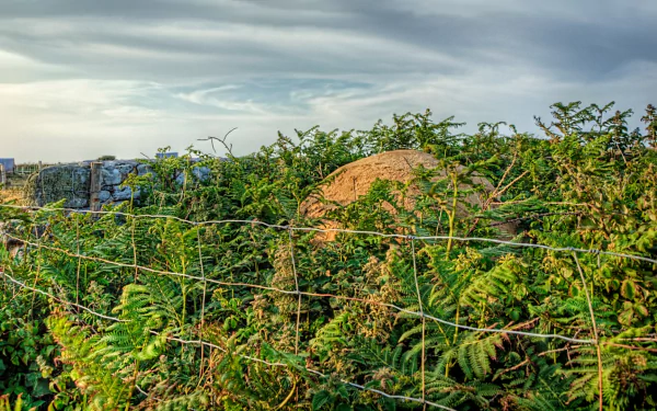  Hiding in the Landscape