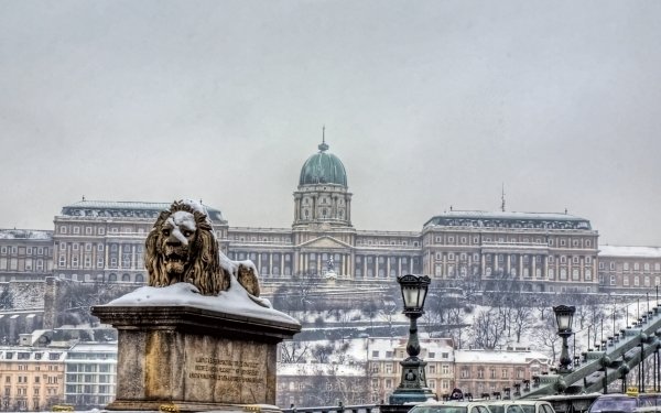 Man Made Buda Castle Castles Hungary HD Wallpaper | Background Image