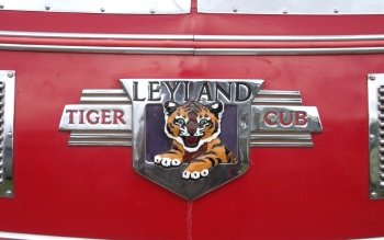 2 leyland tiger cub hd wallpapers background images wallpaper abyss wallpaper abyss alpha coders