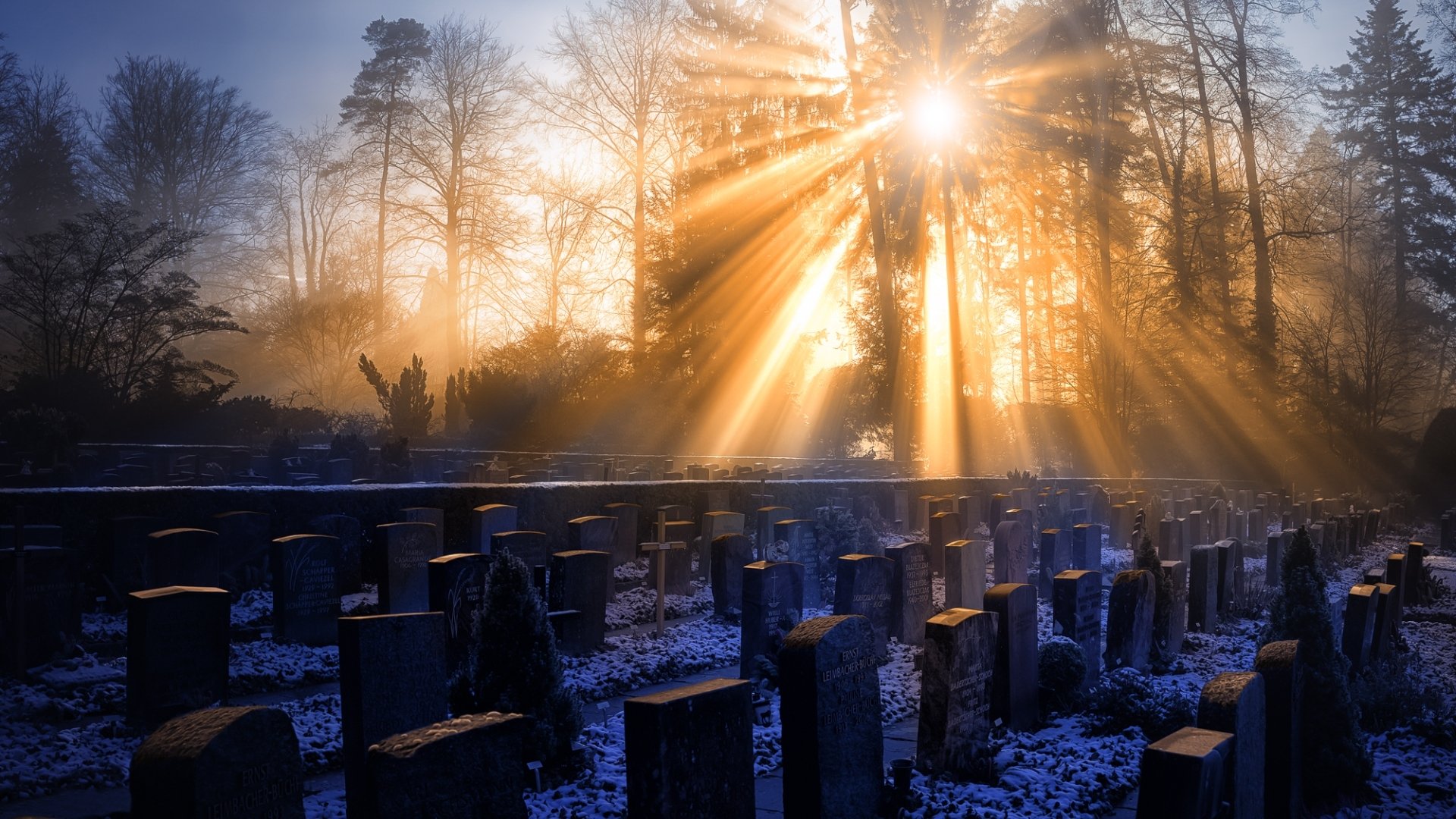 Misty morning on the cemetery Full HD Wallpaper and Background Image