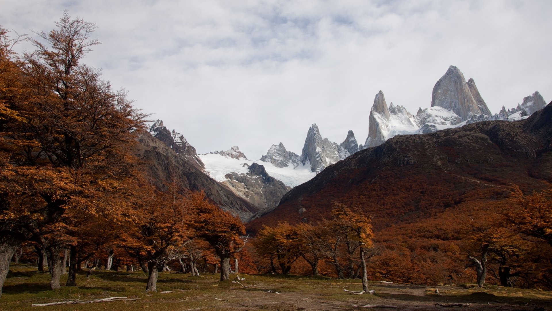 Download Nature Mount Fitz Roy HD Wallpaper