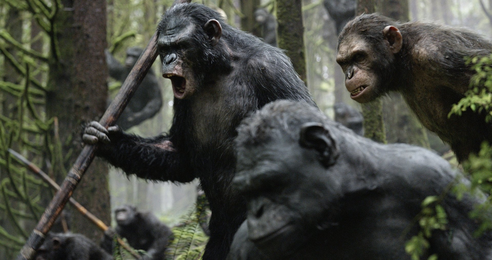 A dramatic scene from Dawn of the Planet of the Apes, featuring a group of expressive apes in a dense forest, showcasing their intelligence and strength in stunning HD resolution.