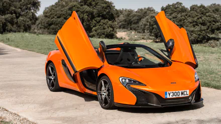 HD desktop wallpaper featuring an orange McLaren 650S Spider supercar with its butterfly doors open, parked on a sunlit driveway surrounded by greenery.