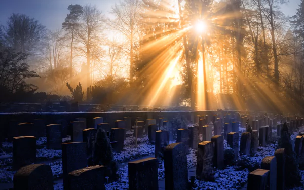  Misty morning on the cemetery
