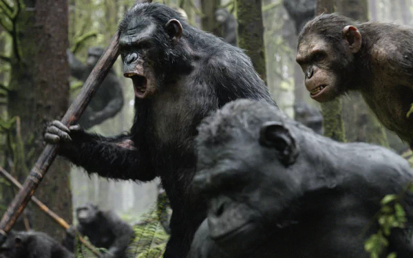 A dramatic scene from Dawn of the Planet of the Apes, featuring a group of expressive apes in a dense forest, showcasing their intelligence and strength in stunning HD resolution.