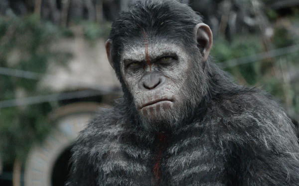 movie Dawn of the Planet of the Apes HD Desktop Wallpaper | Background Image