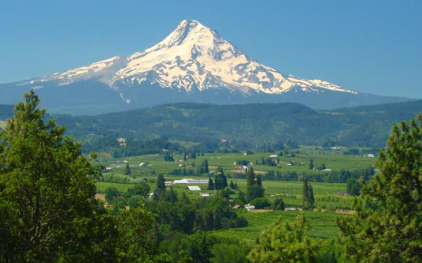 nature Mount Hood HD Desktop Wallpaper | Background Image