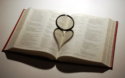  Bible & Filter
