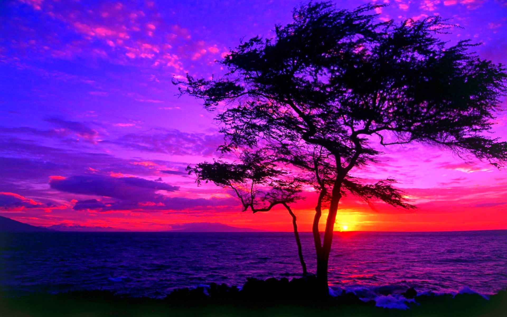 Download Purple Nature Sunset HD Wallpaper