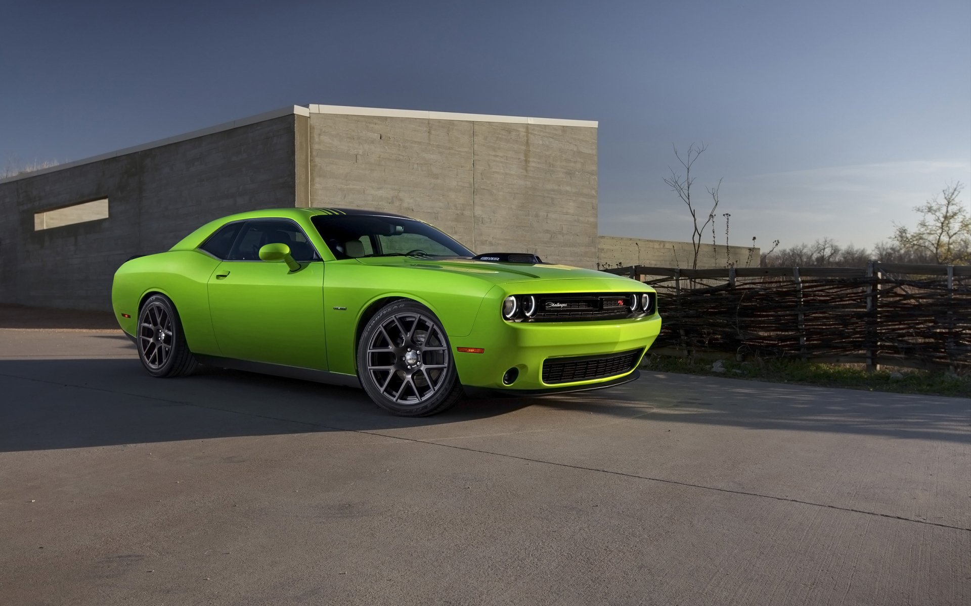 Download Vehicle Dodge Challenger HD Wallpaper