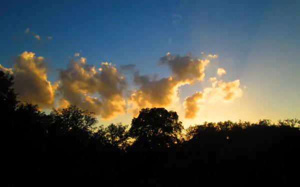 Sunbeam breaks through scattered clouds over silhouetted trees, captured in vibrant detail for a 4K Ultra HD nature desktop wallpaper.