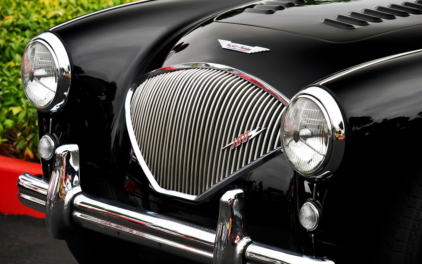 Download Vehicle Austin-Healey 100 Wallpaper