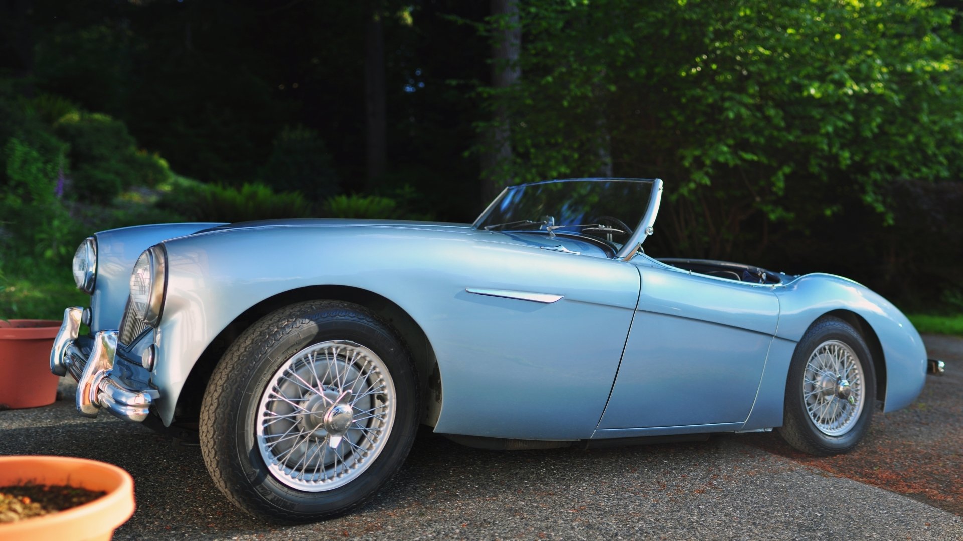 Download Vehicle Austin-Healey 100 HD Wallpaper