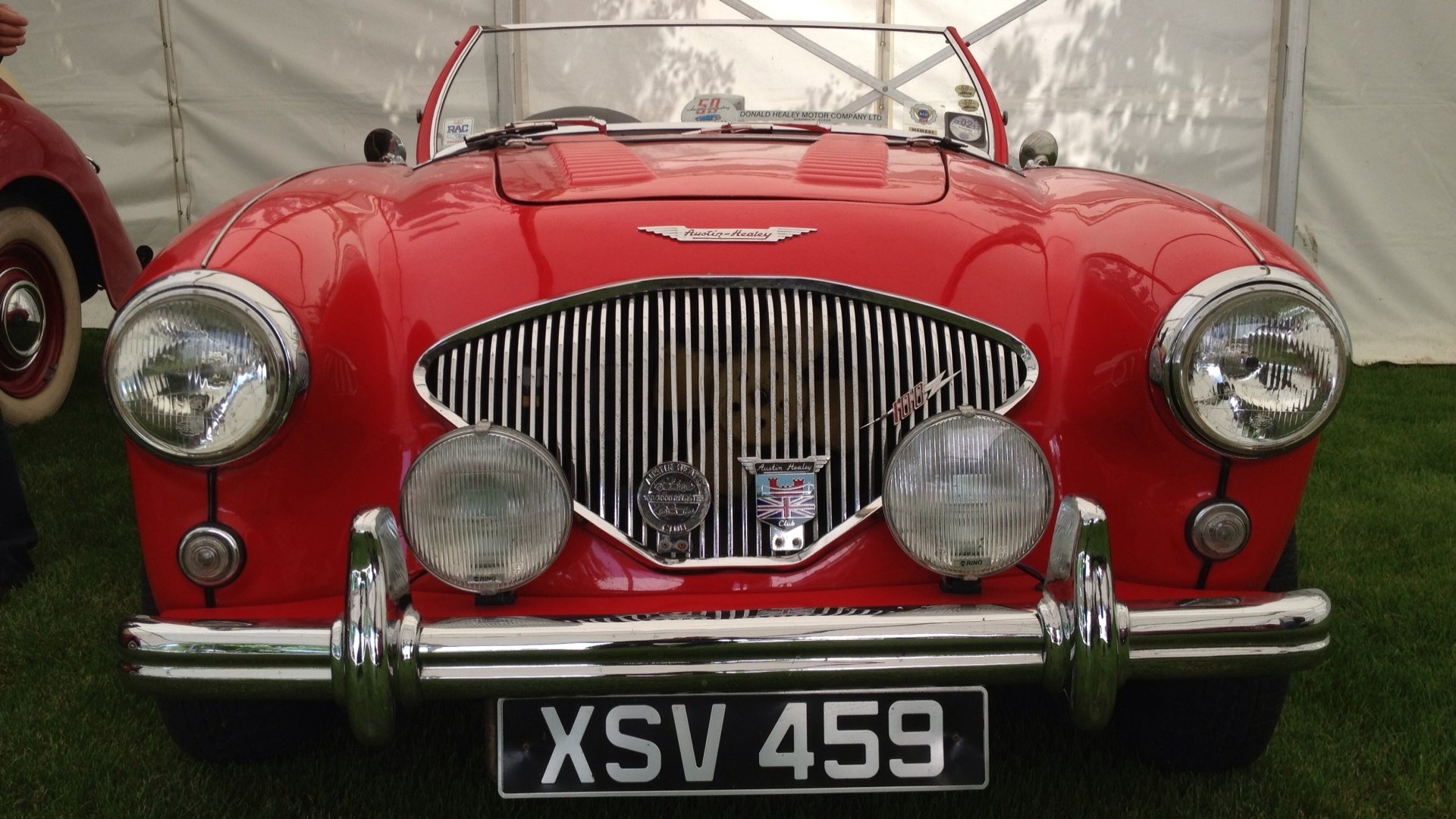 Download Vehicle Austin-Healey 100 HD Wallpaper
