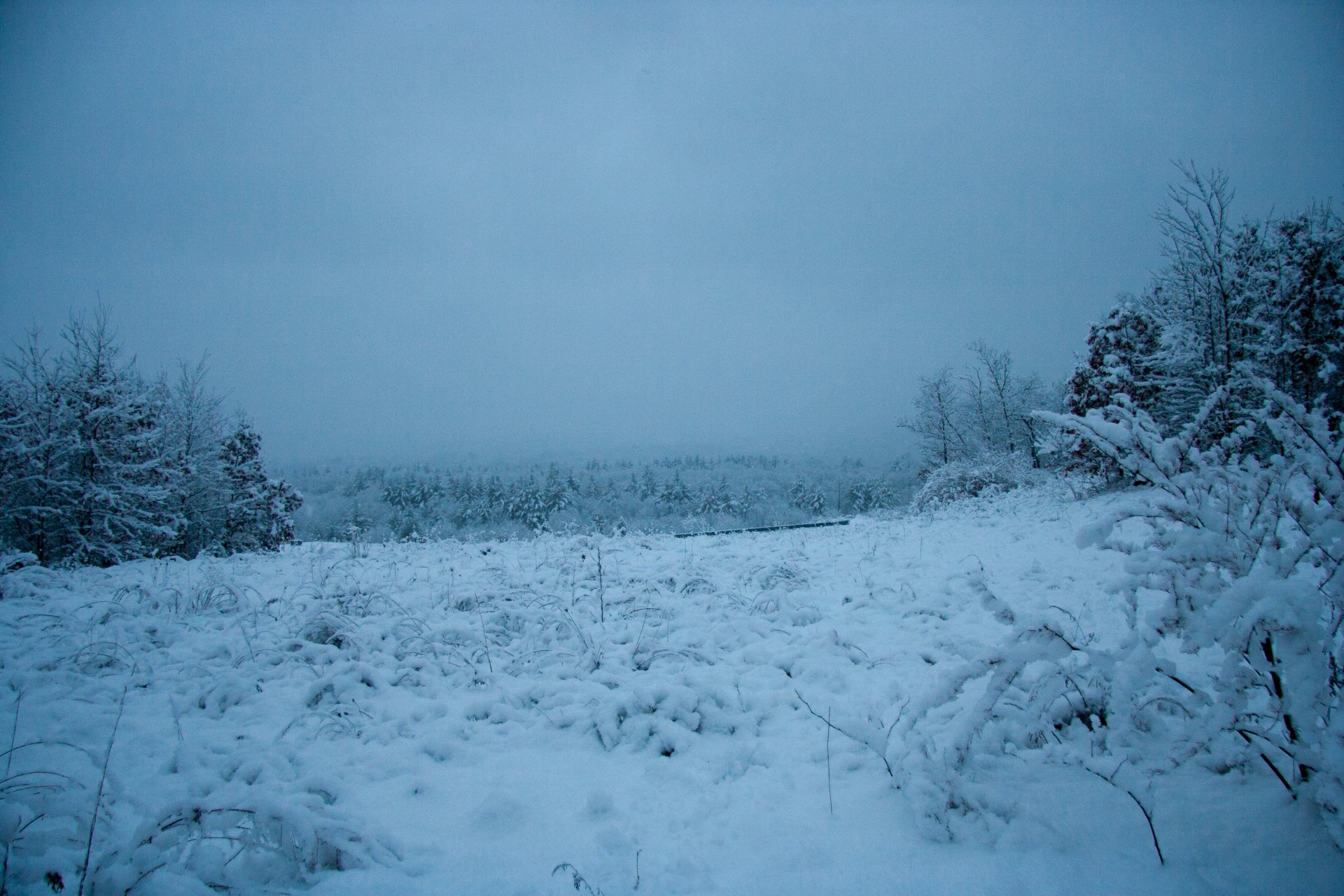 Winter day by CarlGessau