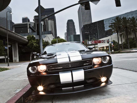 Front view of a black Dodge Challenger SRT8 392 with white racing stripes on a city street — HD PC desktop wallpaper/background featuring the Dodge Challenger vehicle.