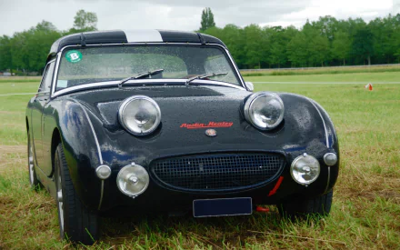 vehicle Austin-Healey Sprite HD Desktop Wallpaper | Background Image