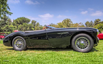 vehicle Austin-Healey 100 HD Desktop Wallpaper | Background Image