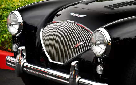 vehicle Austin-Healey 100 HD Desktop Wallpaper | Background Image