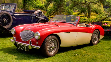 vehicle Austin-Healey 100 HD Desktop Wallpaper | Background Image