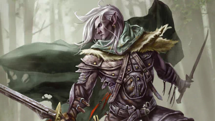  The Legend Of Drizzt