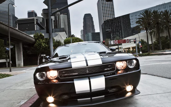 Front view of a black Dodge Challenger SRT8 392 with white racing stripes on a city street — HD PC desktop wallpaper/background featuring the Dodge Challenger vehicle.
