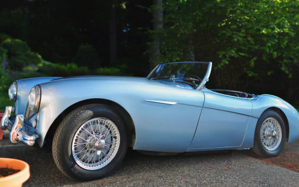 vehicle Austin-Healey 100 HD Desktop Wallpaper | Background Image