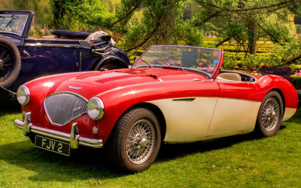 vehicle Austin-Healey 100 HD Desktop Wallpaper | Background Image