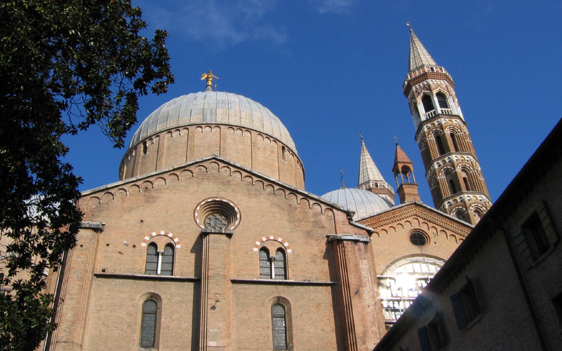 10+ Basilica of Saint Anthony of Padua HD Wallpapers and Backgrounds