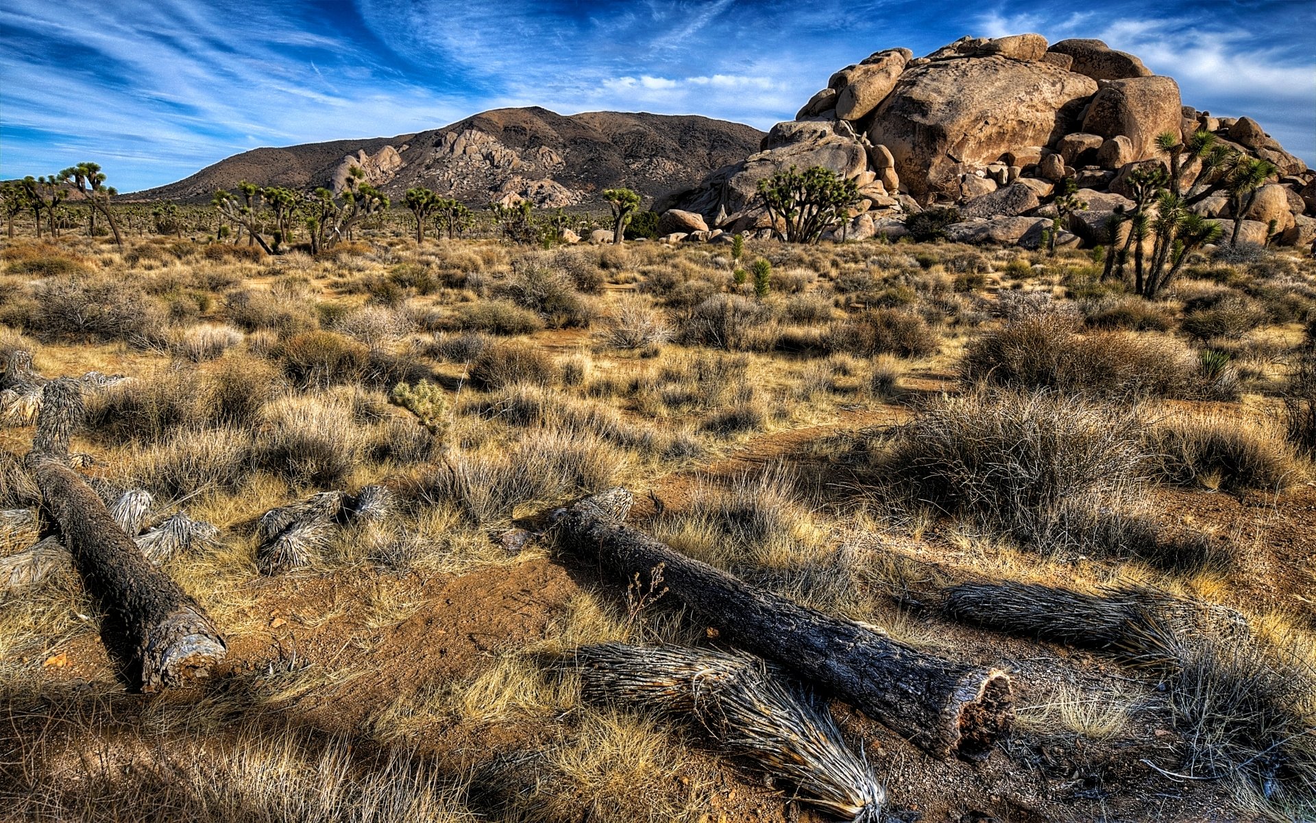 Download Nature Joshua Tree National Park HD Wallpaper | 1920x1200 ...