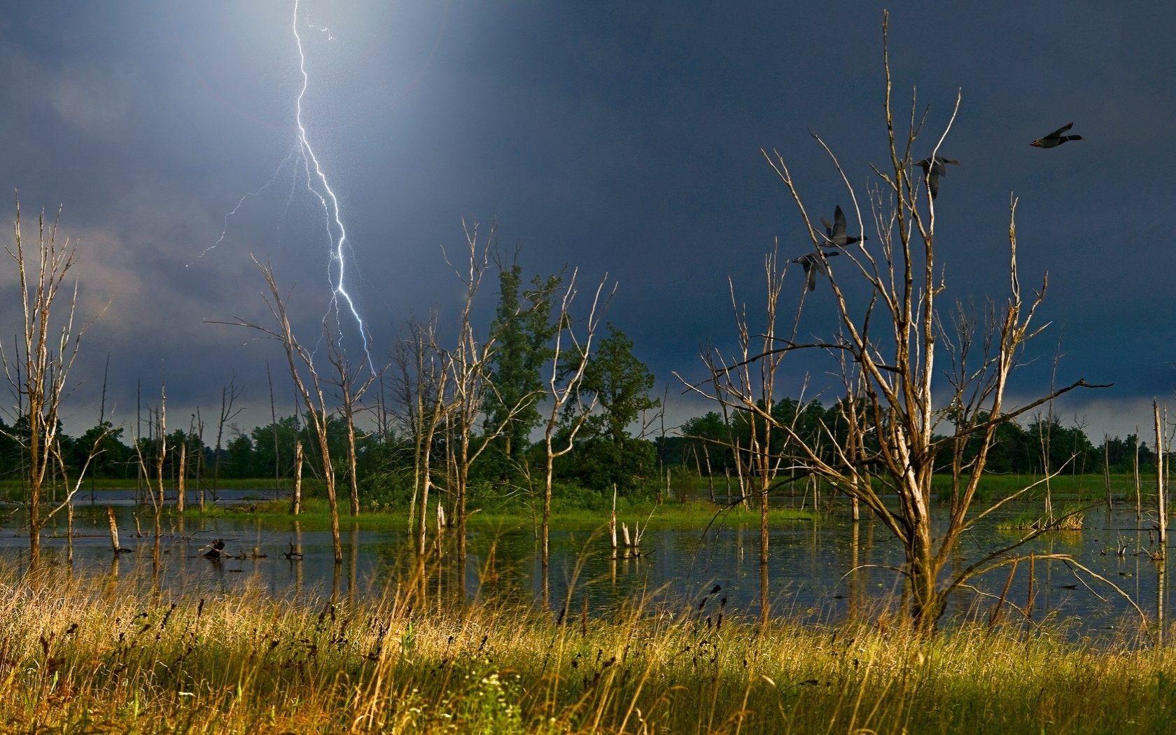 HD PC desktop wallpaper of a dramatic swamp scene with lightning striking under dark stormy skies, surrounded by leafless trees and marsh grasses.