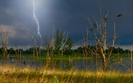 HD PC desktop wallpaper of a dramatic swamp scene with lightning striking under dark stormy skies, surrounded by leafless trees and marsh grasses.