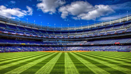 stadium Sports HD Desktop Wallpaper | Background Image