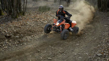HD PC desktop wallpaper of a vehicle: an orange ATV kicking up dust as its rider leans into a turn on a dry forest trail.