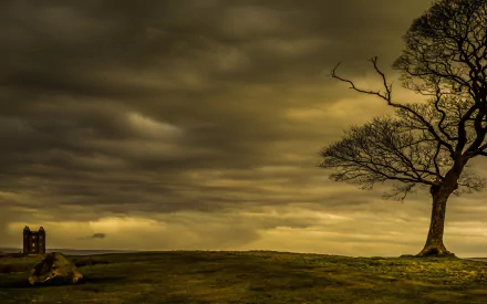 man made Lyme Park HD Desktop Wallpaper | Background Image