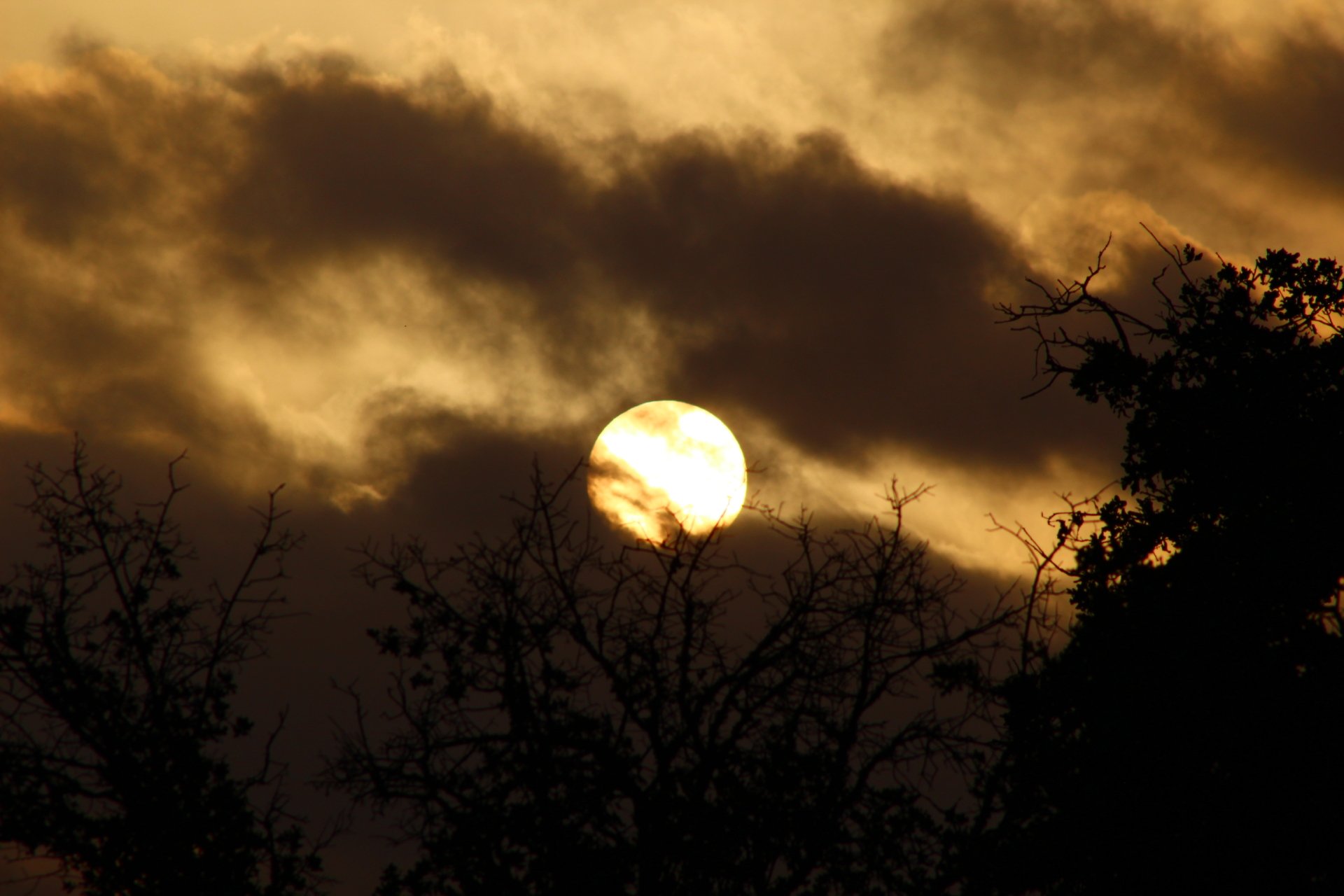 A breathtaking sunrise illuminates the sky, casting a warm glow through scattered clouds and silhouetting the surrounding trees. An inspiring nature scene for any desktop background.