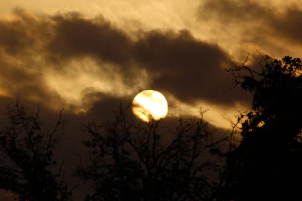 A breathtaking sunrise illuminates the sky, casting a warm glow through scattered clouds and silhouetting the surrounding trees. An inspiring nature scene for any desktop background.